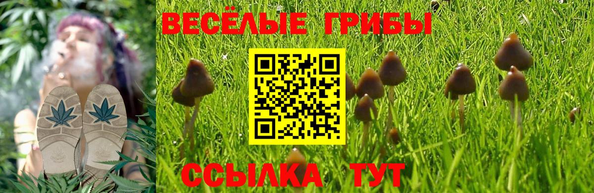 Псилоцибиновые грибы Magic Shrooms  Галлюциногенные грибы MAGIC MUSHROOMS  Вход с VPN  Шуя 